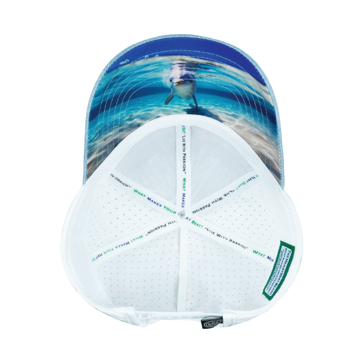 Beach - 6 Panel - Shallow Fit - Pony Tail - Light Blue / White - Laser Mesh (Unisex)