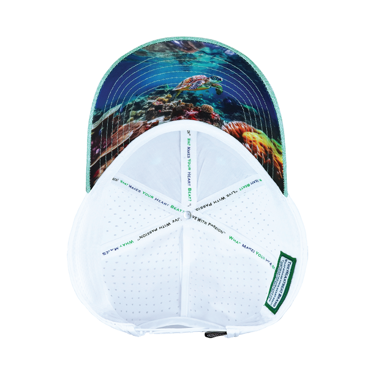 Beach - 6 Panel - Shallow Fit - Pony Tail - Teal / White - Laser Mesh (Unisex)