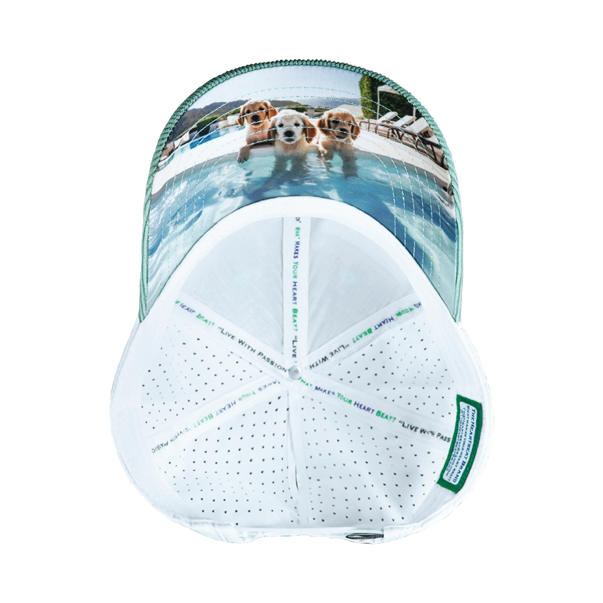 Dog - 6 Panel - Shallow Fit - Pony Tail - Corduroy - Mint / White - Laser Mesh (Unisex)