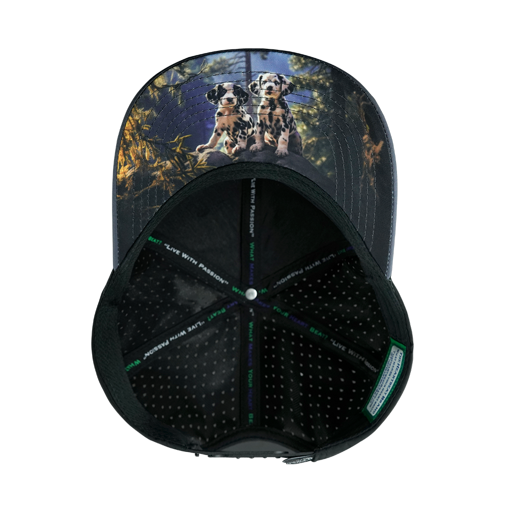 Dog - 6 Panel - Charcoal / Black - Laser Mesh (Unisex)