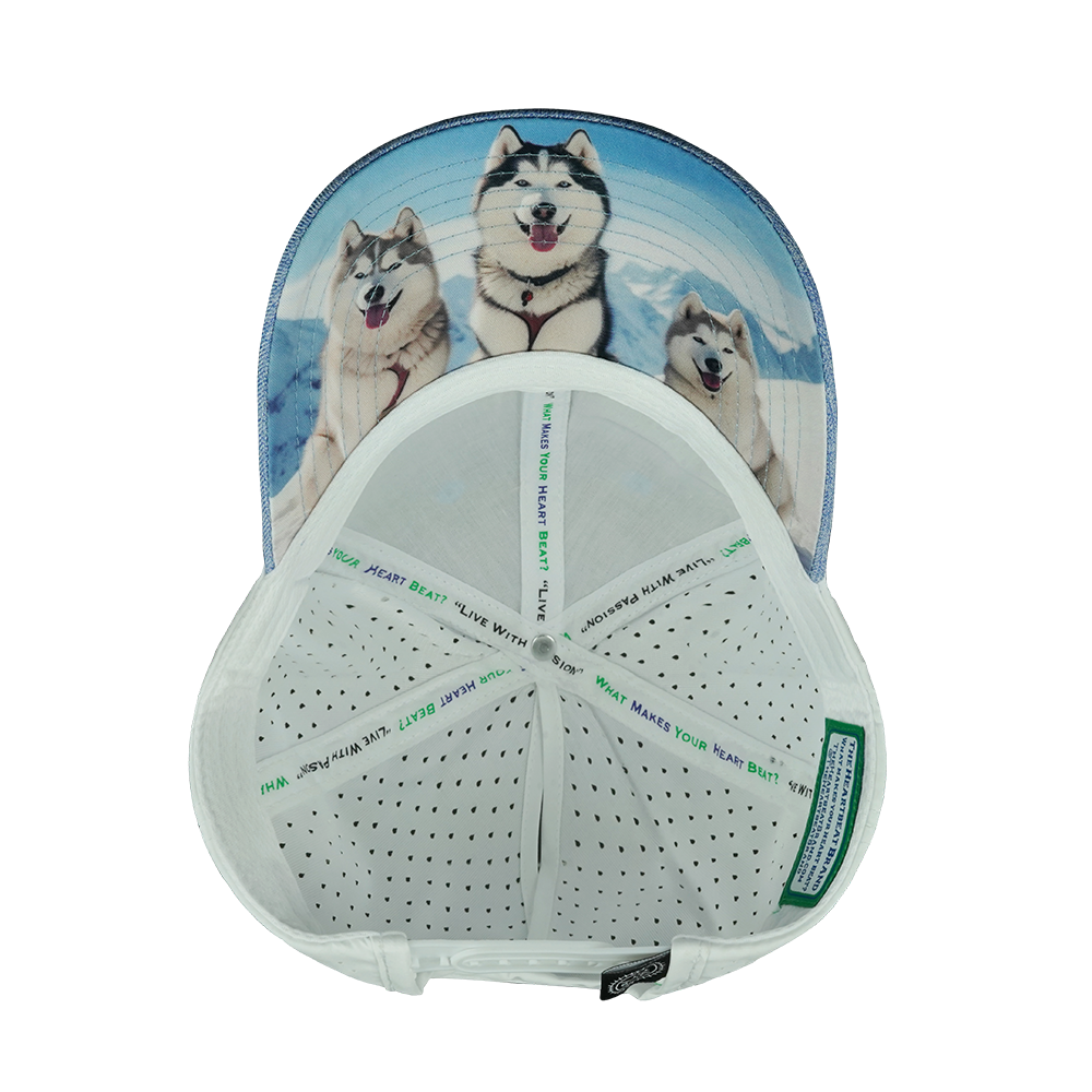 Dog - 6 Panel - Shallow Fit - Pony Tail - Light Blue / White - Laser Mesh (Unisex)
