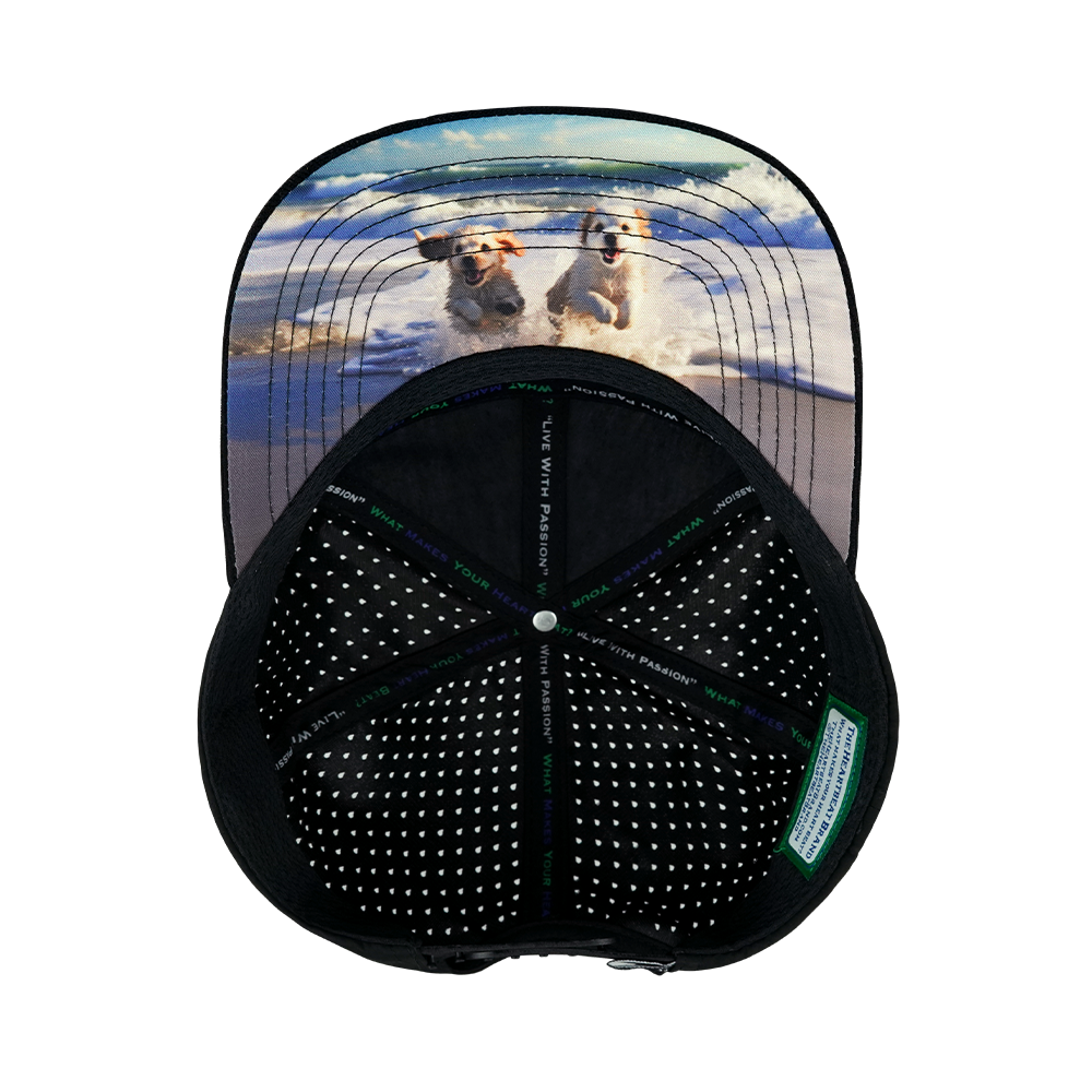 Dog - 7 Panel - Corduroy - Black / Gray Blue - Laser Mesh (Unisex)