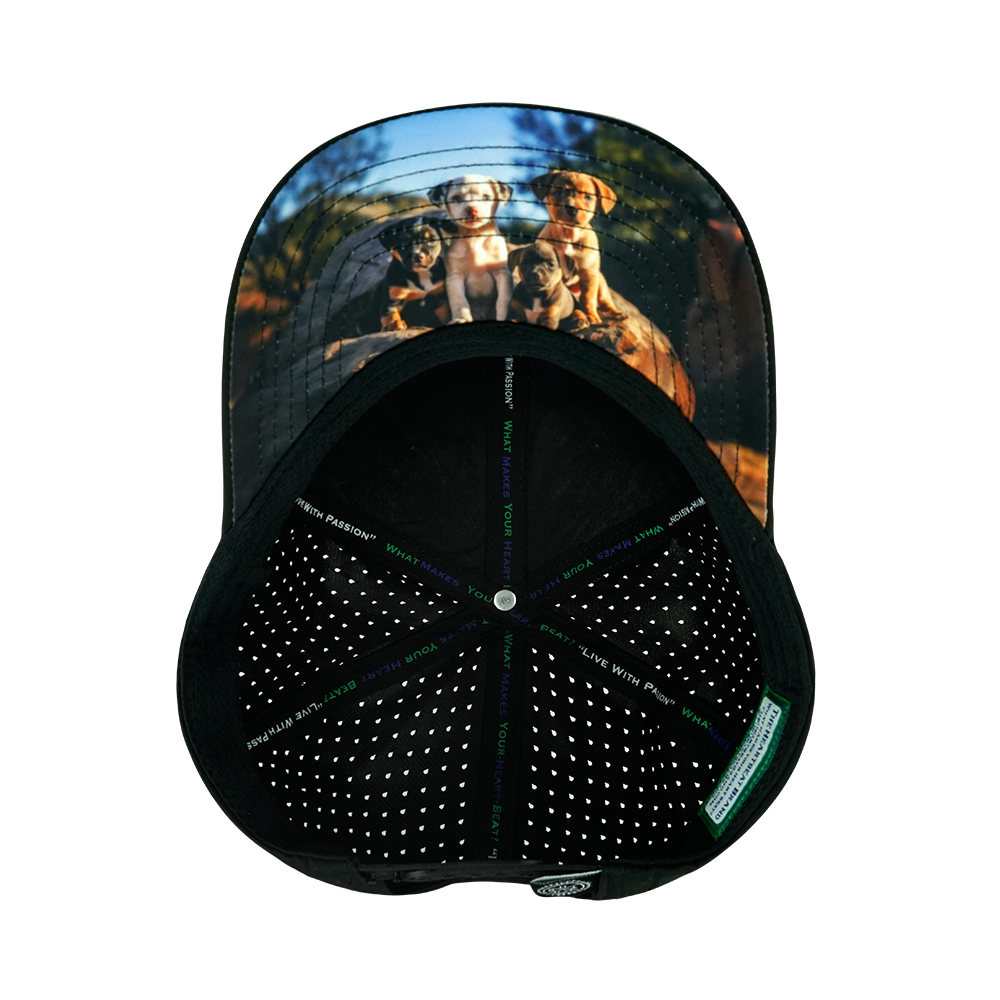 Dog - 6 Panel - Cork - Black - Laser Mesh (Unisex)