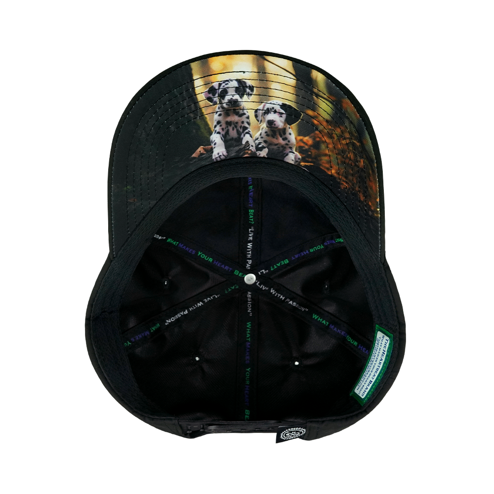 Dog - 6 Panel - Unstructured - Black - Laser Mesh (Unisex)