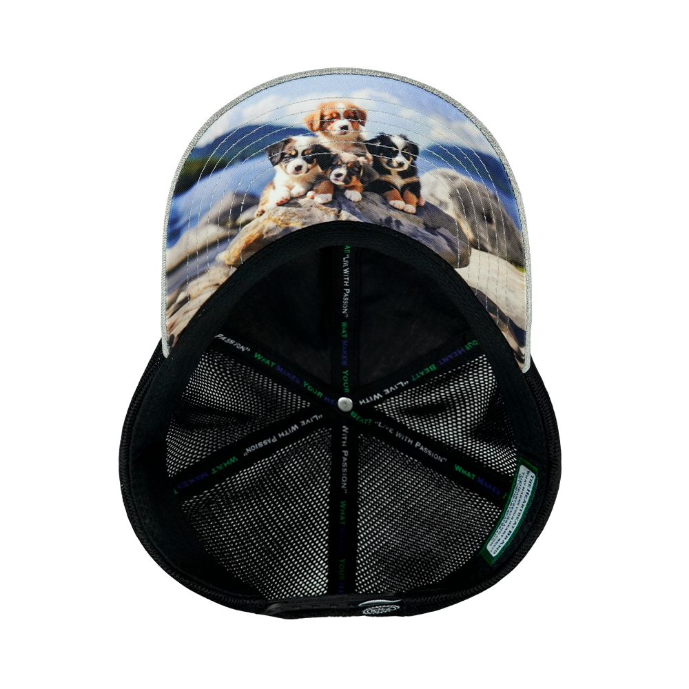 Dog - 6 Panel - Unstructured - Heather Gray / Black - Soft Trucker Mesh (Unisex)