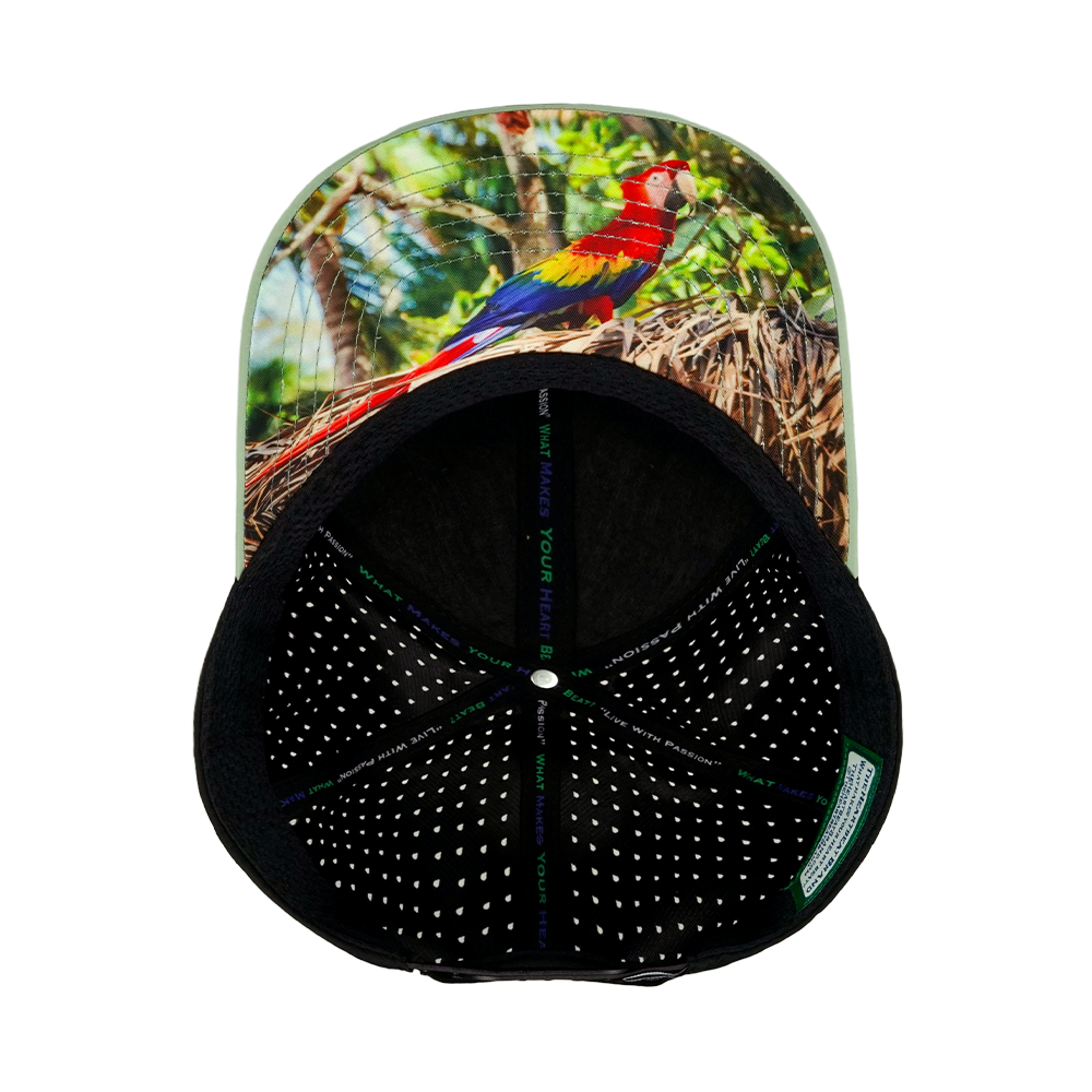 Beach - 6 Panel - Sage Green / Black - Laser Mesh (Unisex)