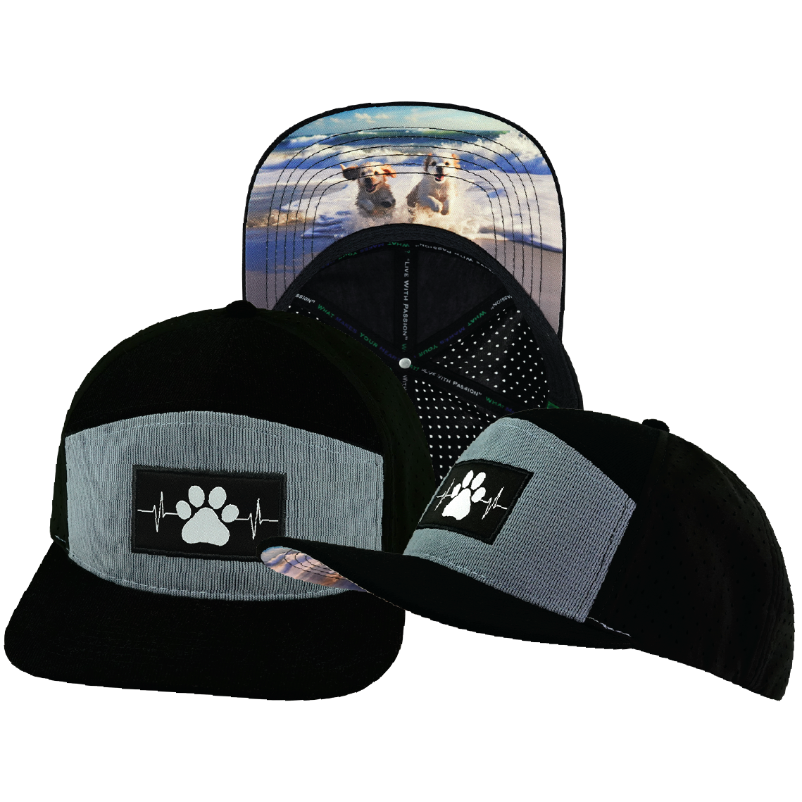 Dog - 7 Panel - Corduroy - Black / Gray Blue - Laser Mesh (Unisex)
