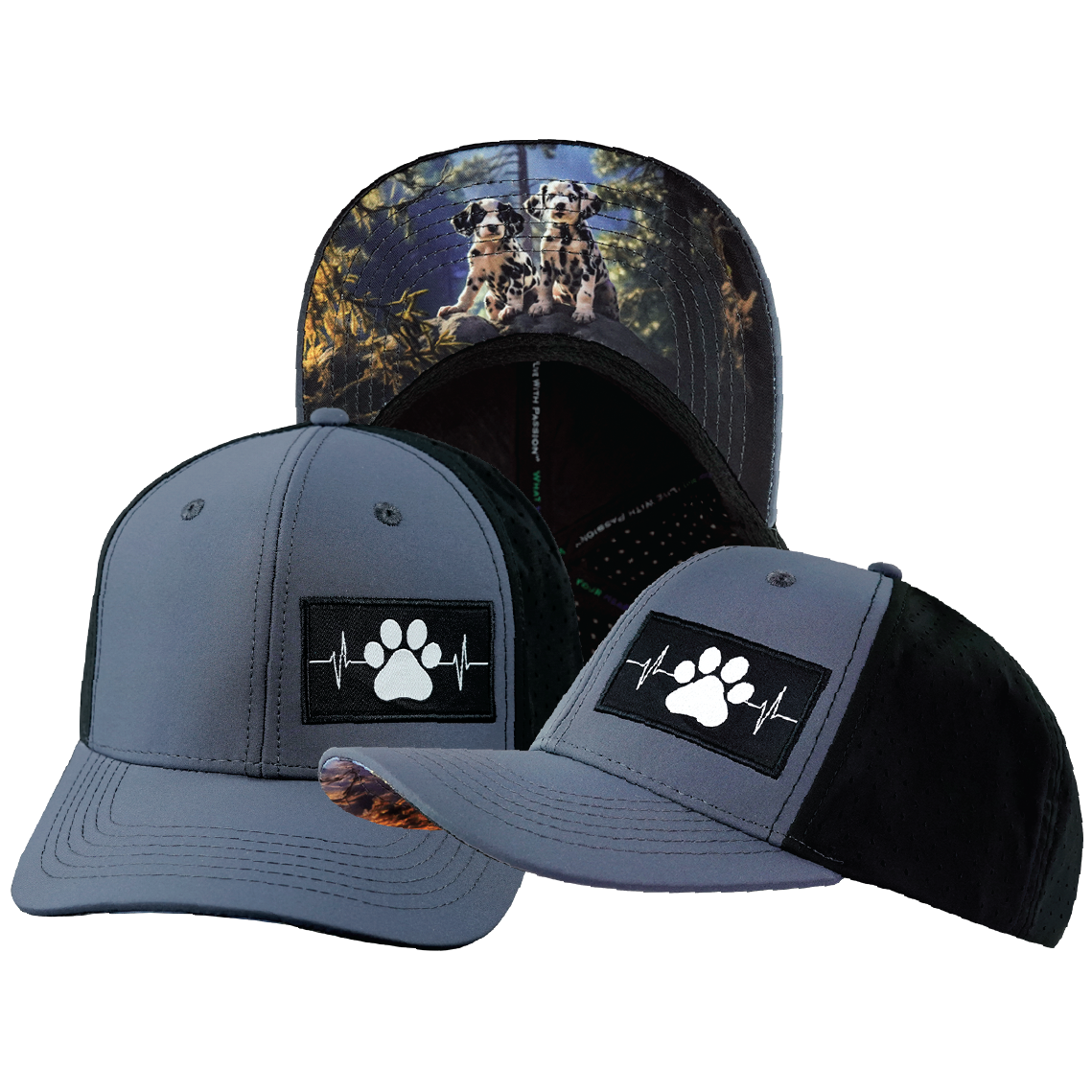 Dog - 6 Panel - Charcoal / Black - Laser Mesh (Unisex)