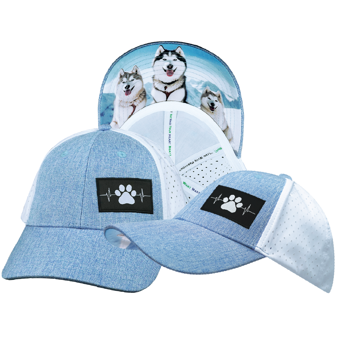 Dog - 6 Panel - Shallow Fit - Pony Tail - Light Blue / White - Laser Mesh (Unisex)