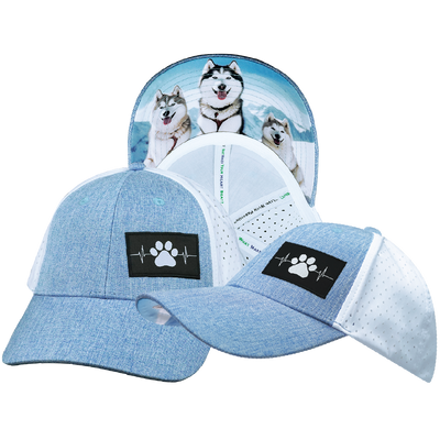 Dog - 6 Panel - Shallow Fit - Pony Tail - Light Blue / White - Laser Mesh (Unisex)