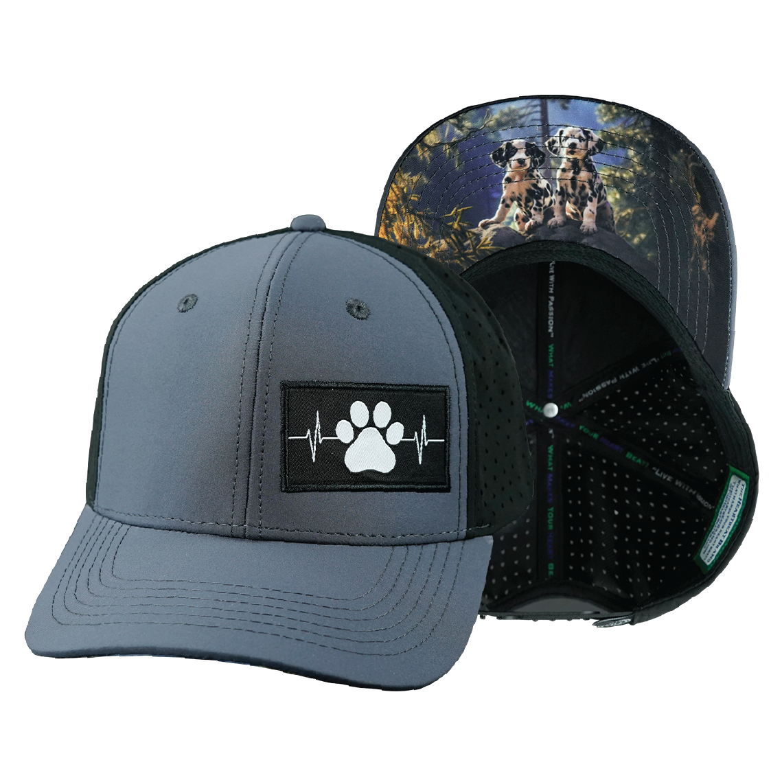 Dog - 6 Panel - Charcoal / Black - Laser Mesh (Unisex)