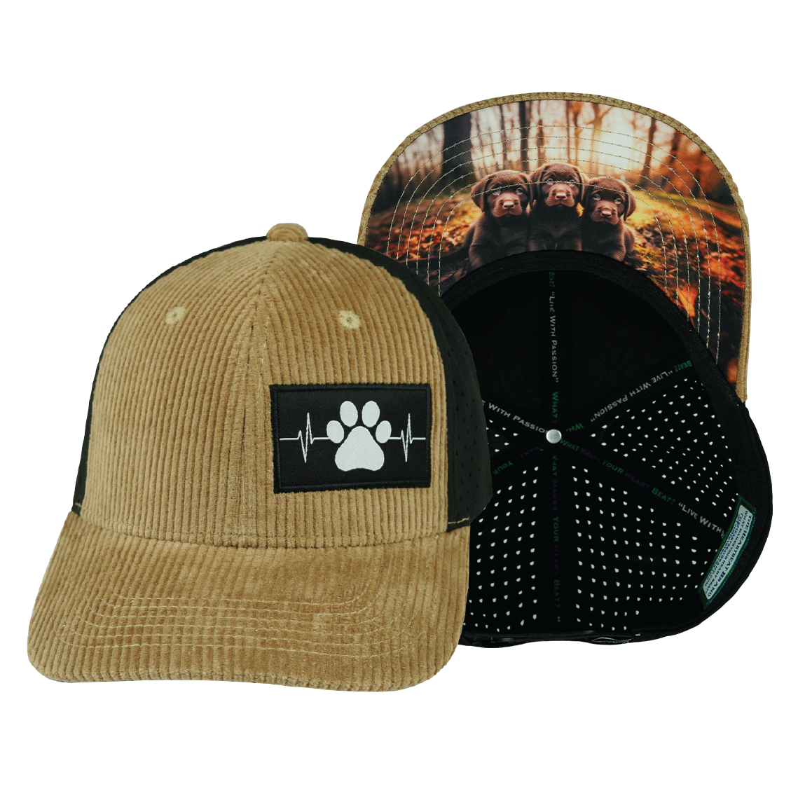 Dog - 6 Panel - Corduroy - Tan / Black - Laser Mesh (Unisex)