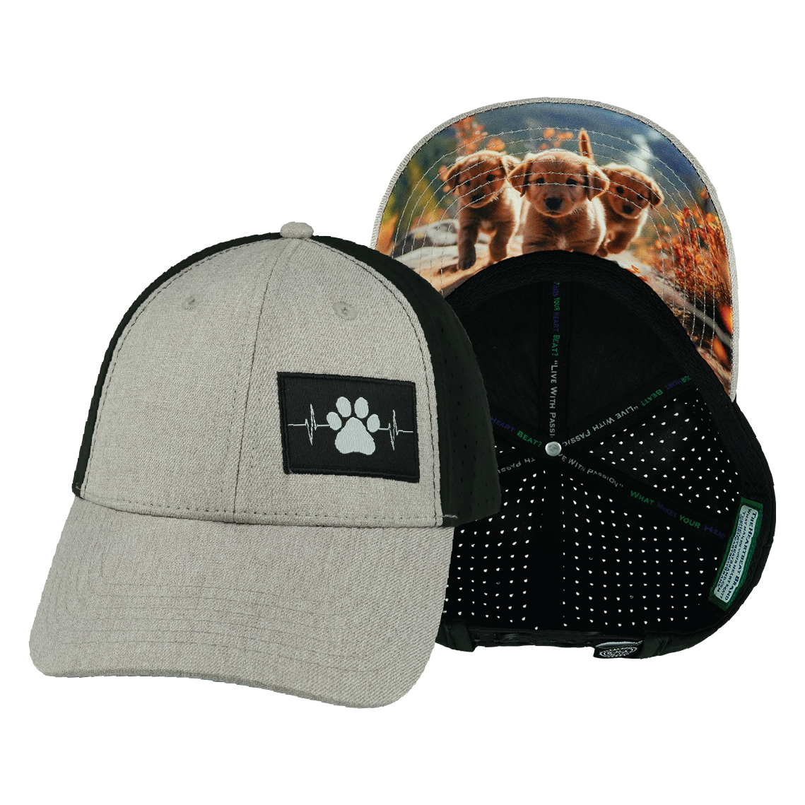 Dog - 6 Panel - Shallow Fit - Pony Tail - Tan / Black - Laser Mesh (Unisex)