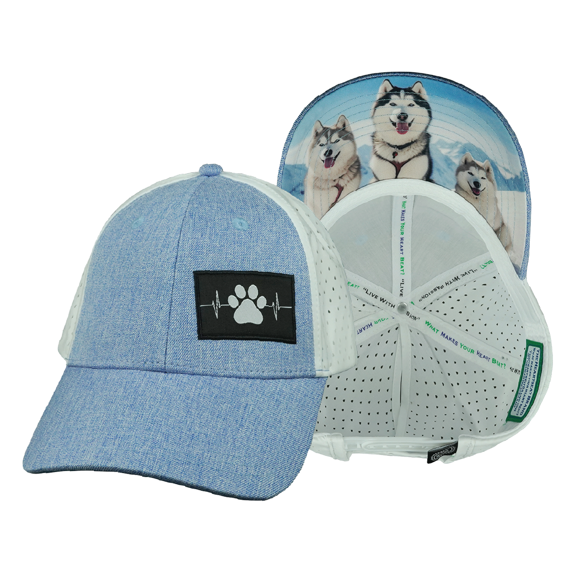 Dog - 6 Panel - Shallow Fit - Pony Tail - Light Blue / White - Laser Mesh (Unisex)