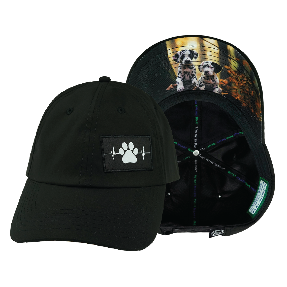 Dog - 6 Panel - Unstructured - Black - Laser Mesh (Unisex)