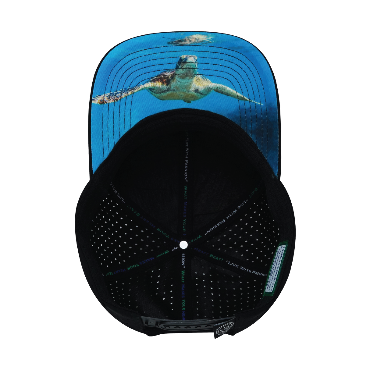 Virgin Islands - 6 Panel - Cork Hybrid - Ocean - Laser Mesh (Unisex)