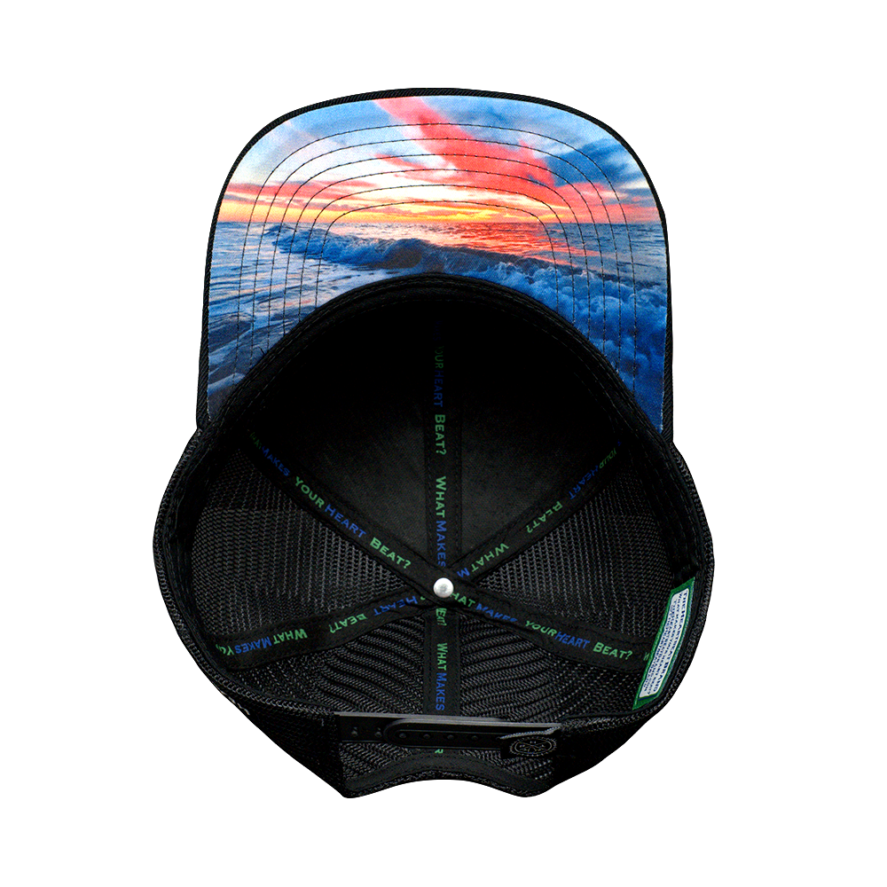 Florida - 6 Panel - Cork - Black - Trucker Mesh (Unisex)