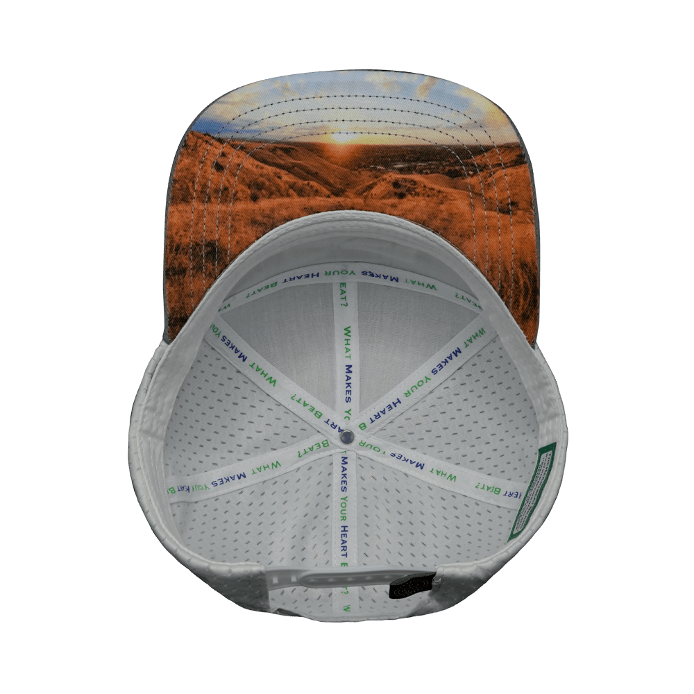 Idaho Hat, Flat Bill, Snapback Hat, Cork, Gray, White, Mens Hat, Womens Hat, Underbill Picture
