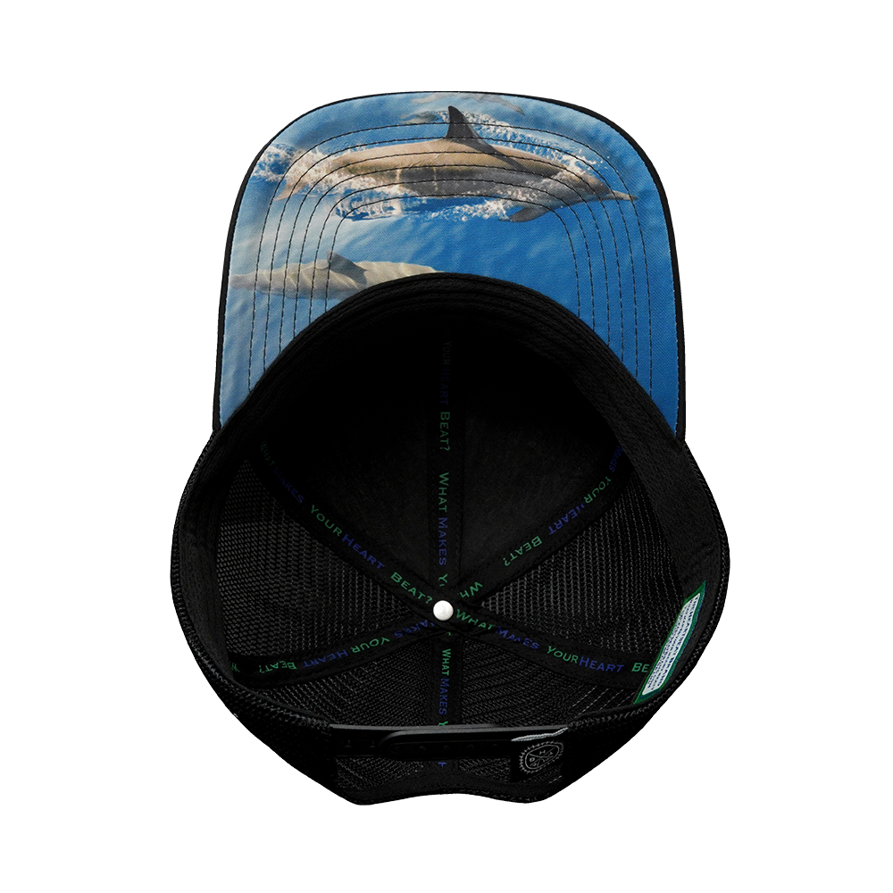 Hawaii - 6 Panel - Cork - Black - Trucker Mesh (Unisex)