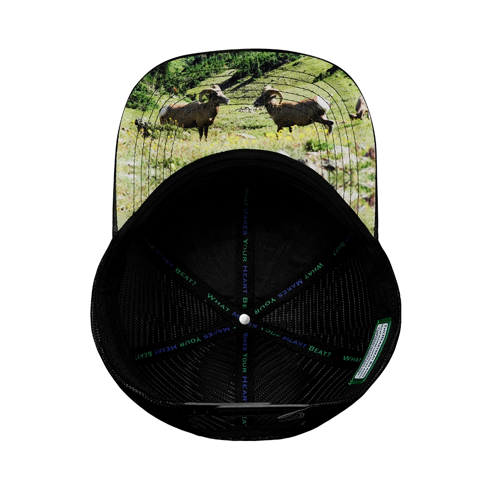 Nevada - 6 Panel - Green Camo / Black - Trucker Mesh (Unisex)