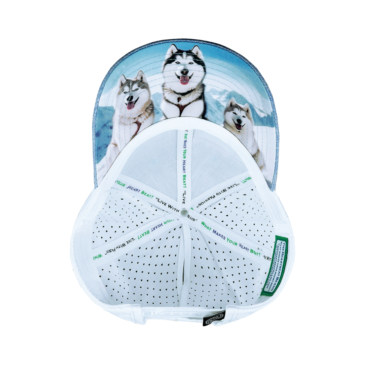 Dog - 6 Panel - Shallow Fit - Pony Tail - Light Blue / White - Laser Mesh (Unisex)