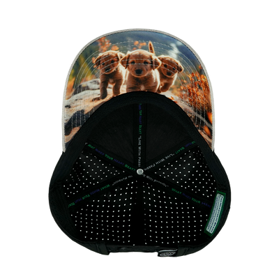 Dog - 6 Panel - Shallow Fit - Pony Tail - Tan / Black - Laser Mesh (Unisex)