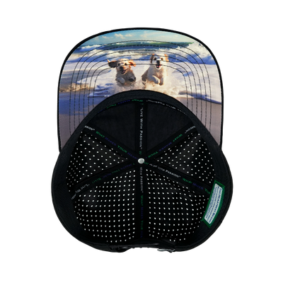 Dog - 7 Panel - Corduroy - Black / Gray Blue - Laser Mesh (Unisex)