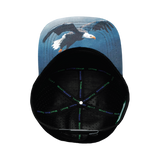 Idaho - 7 Panel - Black Camo / Black - Laser Mesh (Unisex)