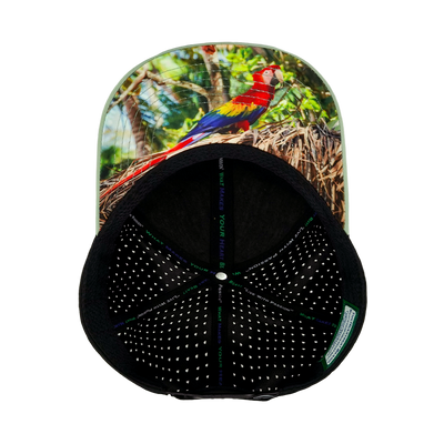 Beach - 6 Panel - Sage Green / Black - Laser Mesh (Unisex)
