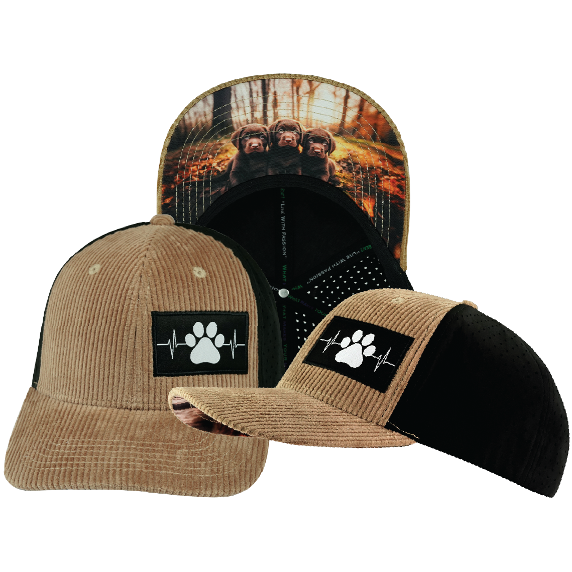 Dog - 6 Panel - Corduroy - Tan / Black - Laser Mesh (Unisex)