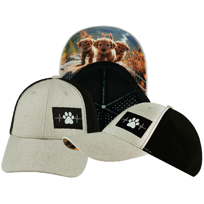 Dog - 6 Panel - Shallow Fit - Pony Tail - Tan / Black - Laser Mesh (Unisex)