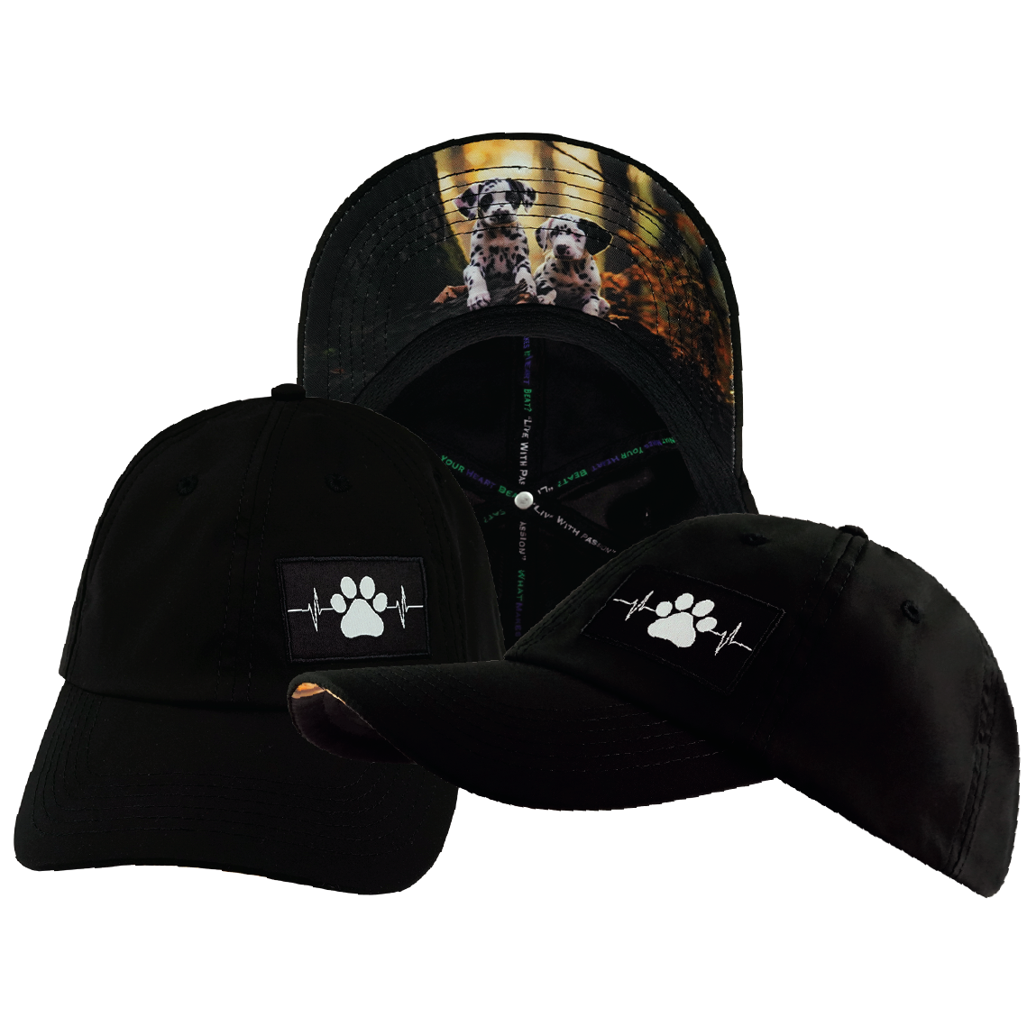 Dog - 6 Panel - Unstructured - Black - Laser Mesh (Unisex)