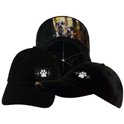Dog - 6 Panel - Unstructured - Black - Laser Mesh (Unisex)