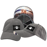 Dog - 6 Panel - Unstructured - Corduroy - Charcoal - Fabric Back (Unisex)