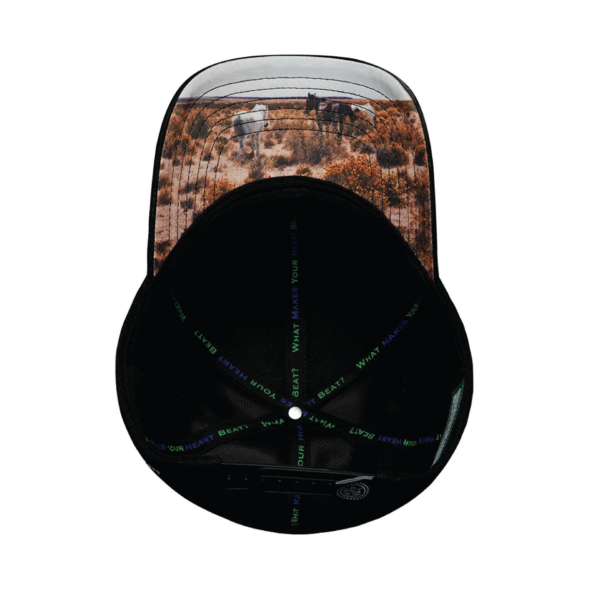 Nevada - 6 Panel - AirMesh - Athletic Fit - Black - Fabric Back (Unisex)