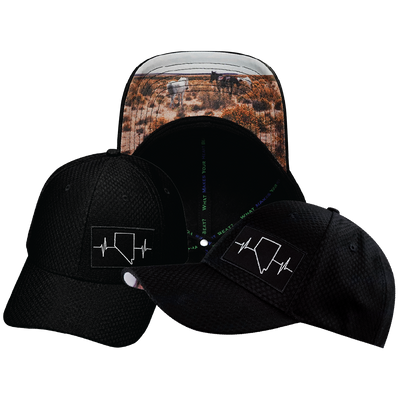 Nevada - 6 Panel - AirMesh - Athletic Fit - Black - Fabric Back (Unisex)