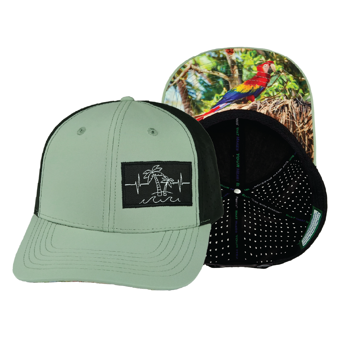 Beach - 6 Panel - Sage Green / Black (Unisex)