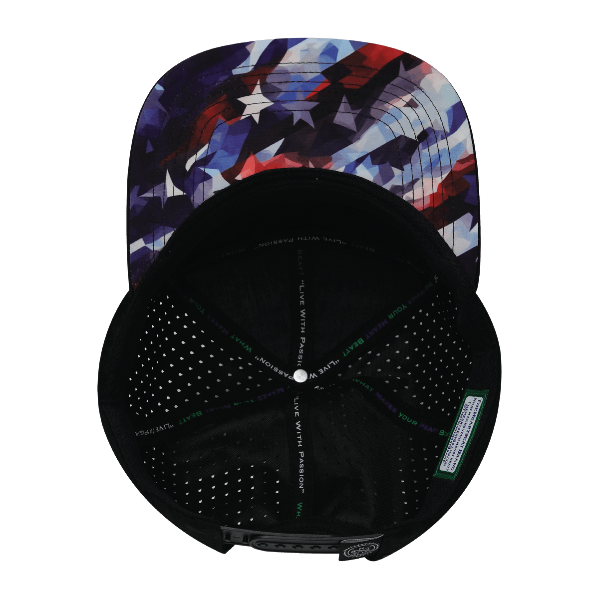 Color Vibes Hat, Flat Bill, Snapback Hat, Geo Flag, Black, White, Mens Hat, Womens Hat, Underbill Picture 