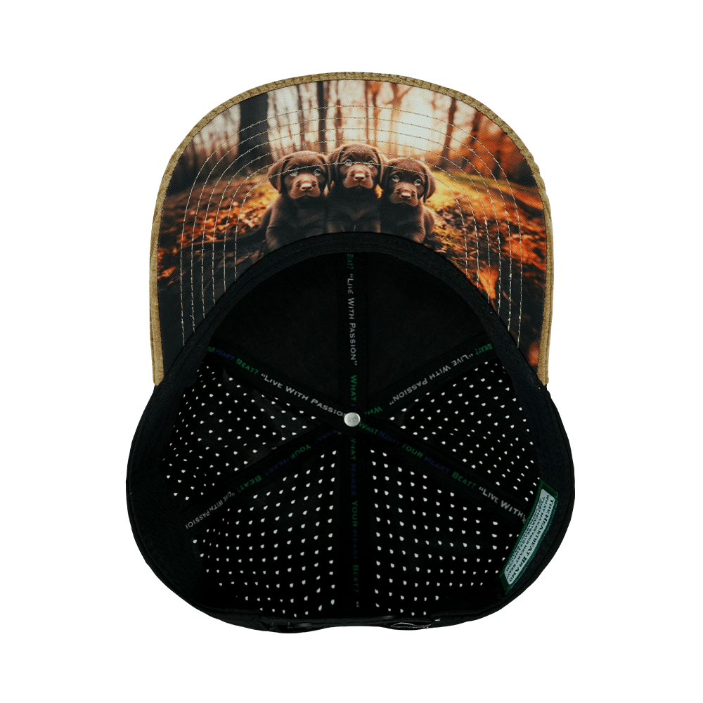 Dog - 6 Panel - Corduroy - Tan / Black - Laser Mesh (Unisex)