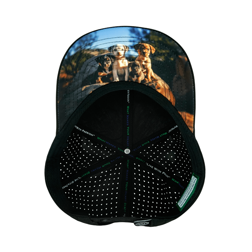 Dog - 6 Panel - Cork - Black - Laser Mesh (Unisex)