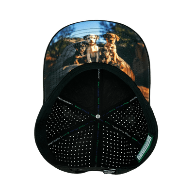 Dog - 6 Panel - Cork - Black - Laser Mesh (Unisex)