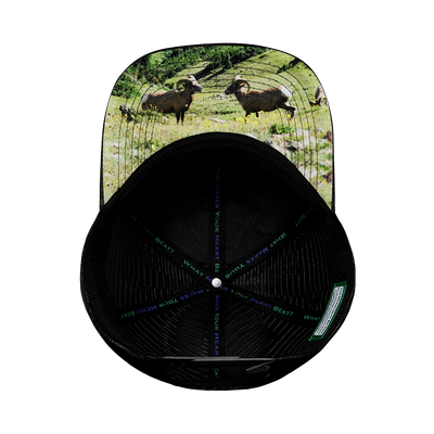 Nevada - 6 Panel - Green Camo / Black - Trucker Mesh (Unisex)